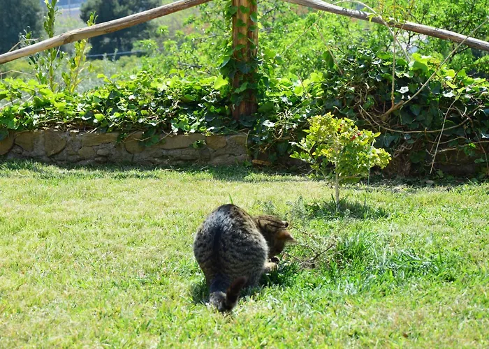 Antico Borgo Etneo Agriturismo