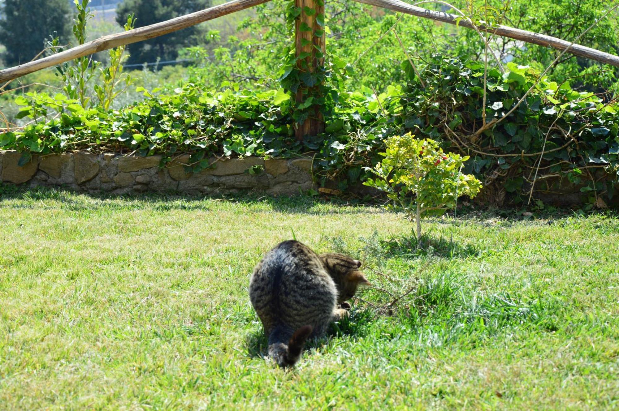 Antico Borgo Etneo Country *