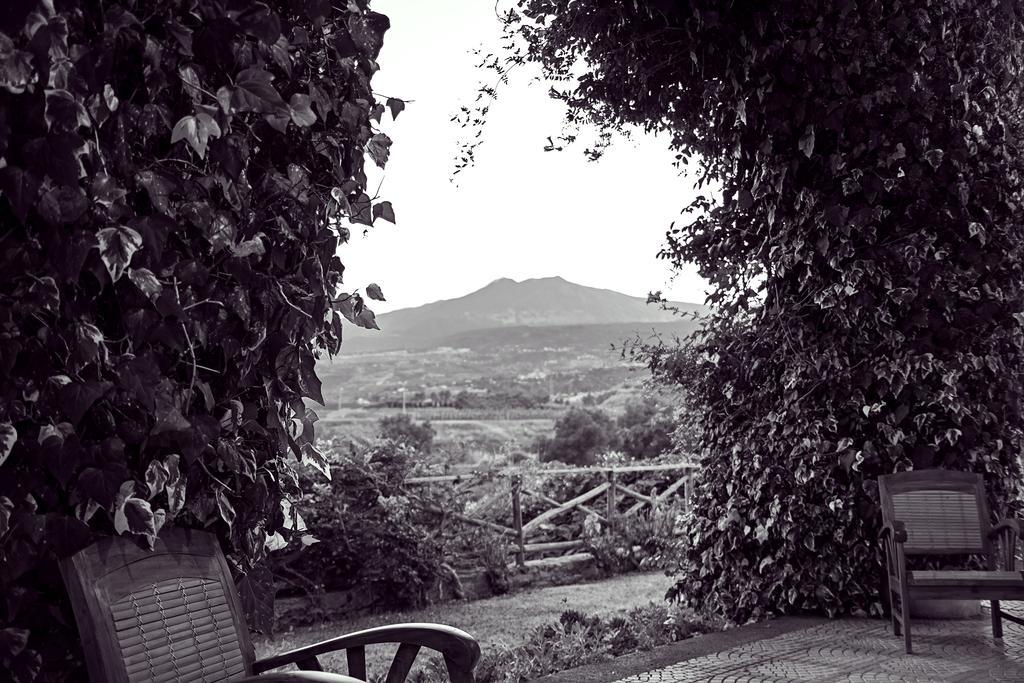Antico Borgo Etneo Alloggio per agriturismo *