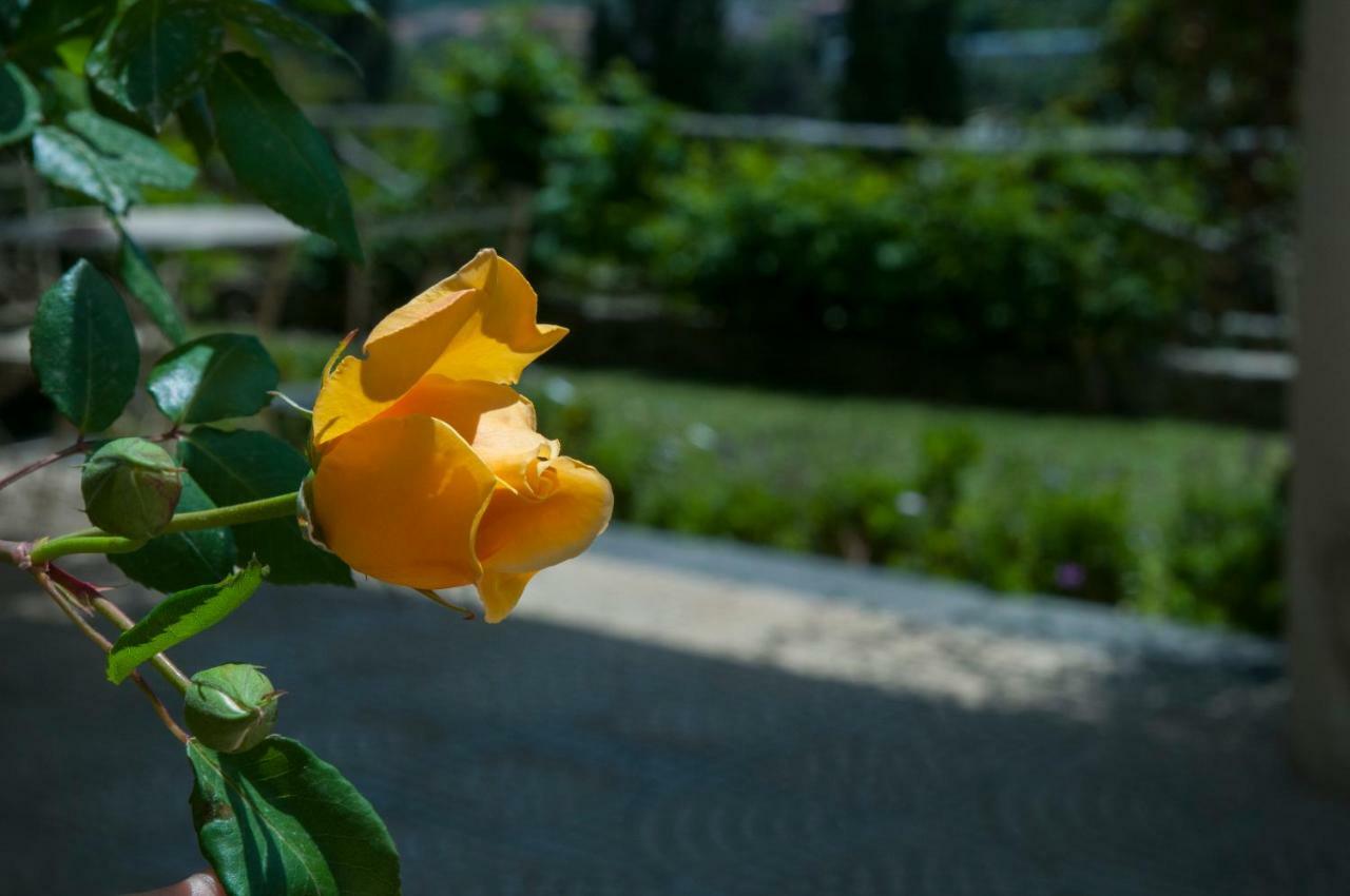 Bauernhof Antico Borgo Etneo Country *